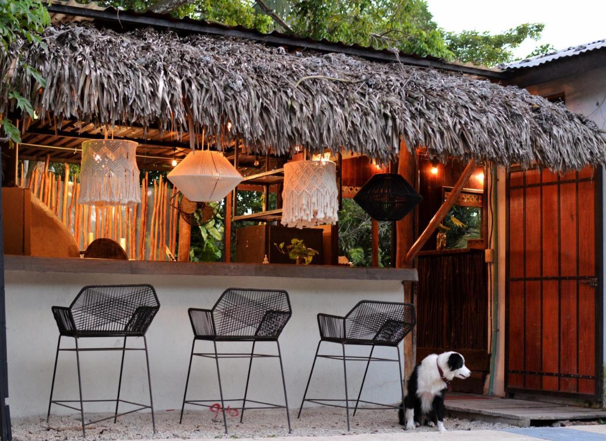 Tortuga Bacalar Bed & Breakfast Ngoại thất bức ảnh