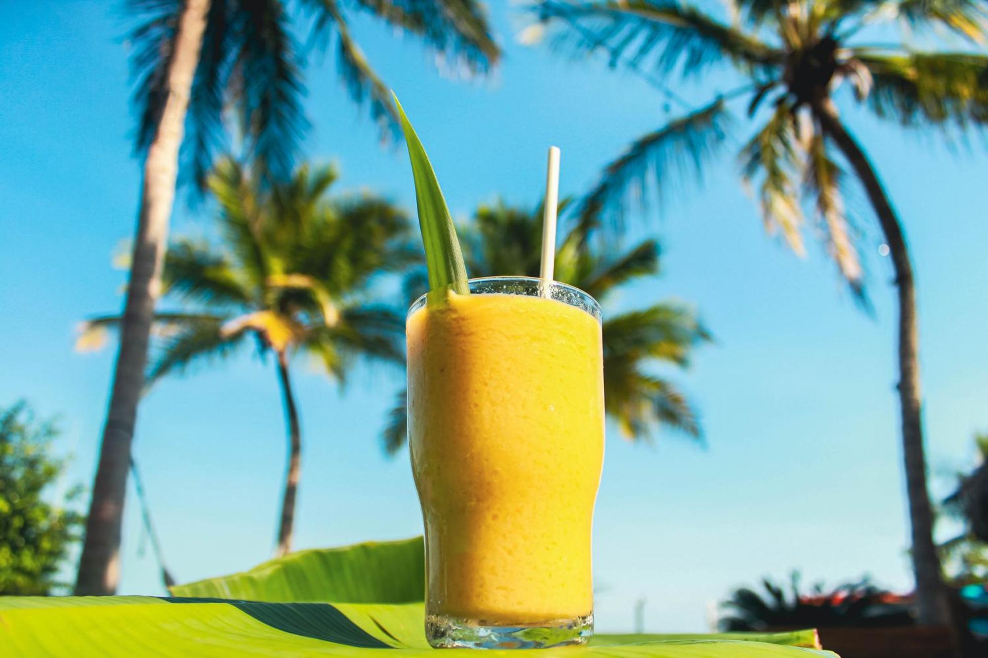 Tortuga Bacalar Bed & Breakfast Ngoại thất bức ảnh